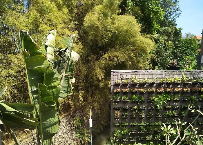 Hotel Serenity Twin Express Canggu